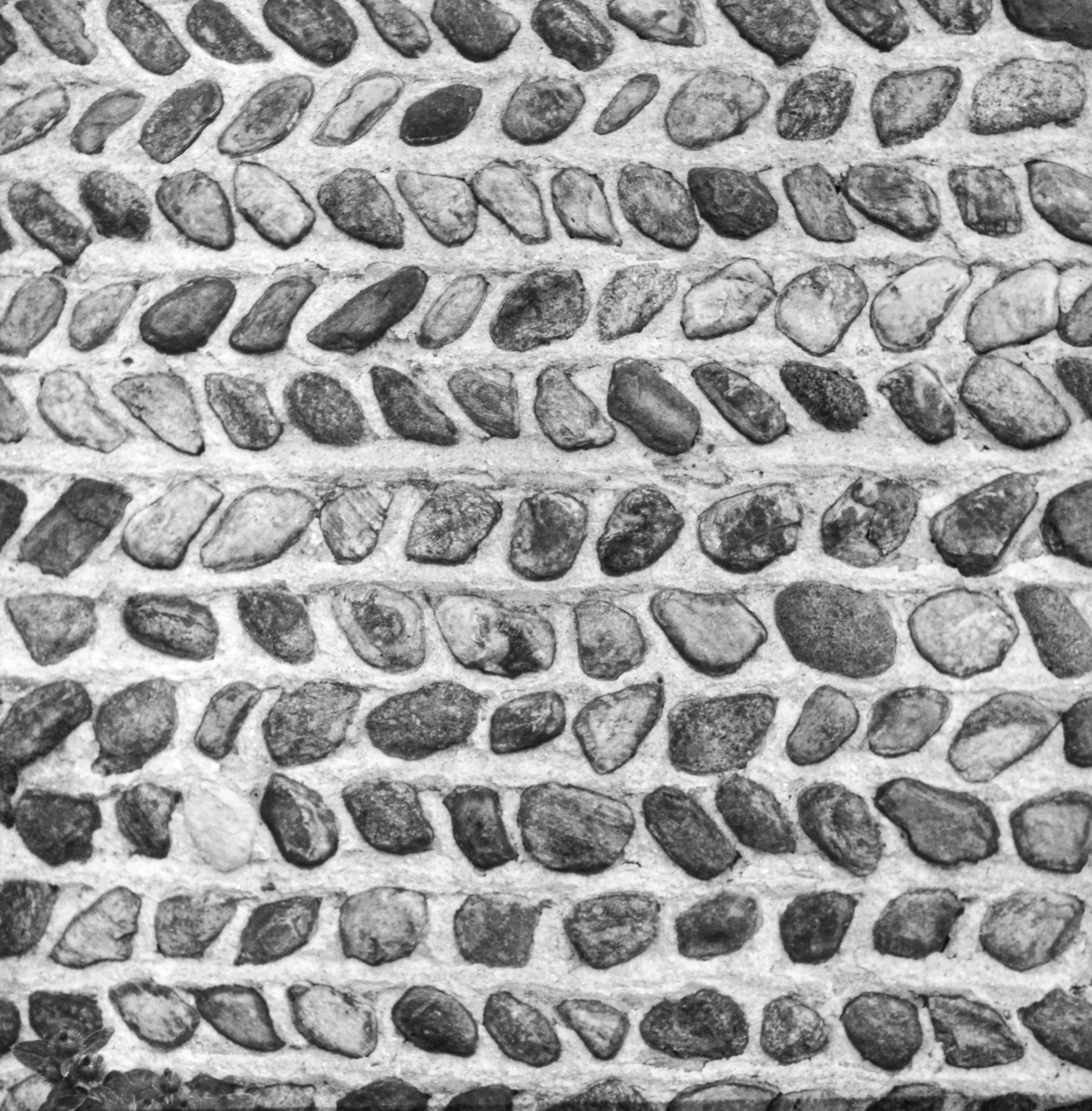 GP Yates Torrey Tor-2 2-1 P